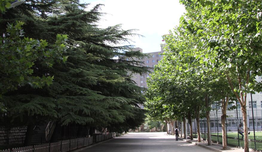 北京科技高级技术学校宿舍、校园环境图 北京科技高级技术学校宿舍、校园环境图