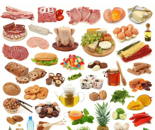 中专食品生物工艺专业学校排名